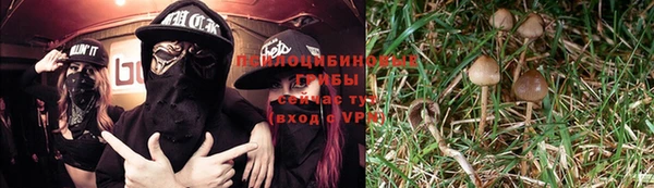 MESCALINE Надым